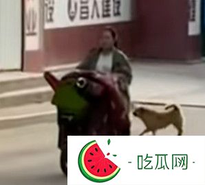 你個logo是什么梗？不了解要吃虧