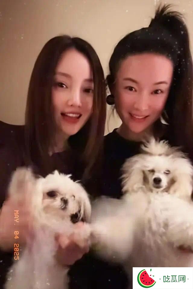 李小璐霍思燕兩家同游，霍思燕植發(fā)沒了發(fā)際線，賈乃亮躲得遠(yuǎn)遠(yuǎn)的