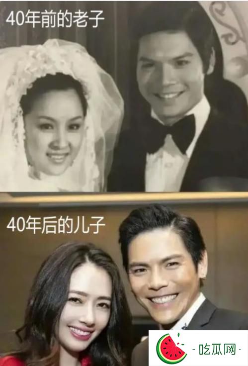 陳嵐是向華強第幾任妻子(向華強情史回顧)